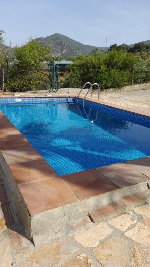 Las Palmeras - Ein Stueck Vom Paradies - Behagliches Haus Mit Pool Algodonales Eksteriør billede